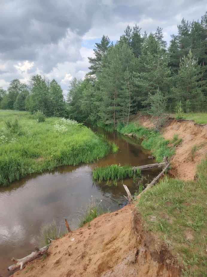 Небольшая речка рядом с лесом